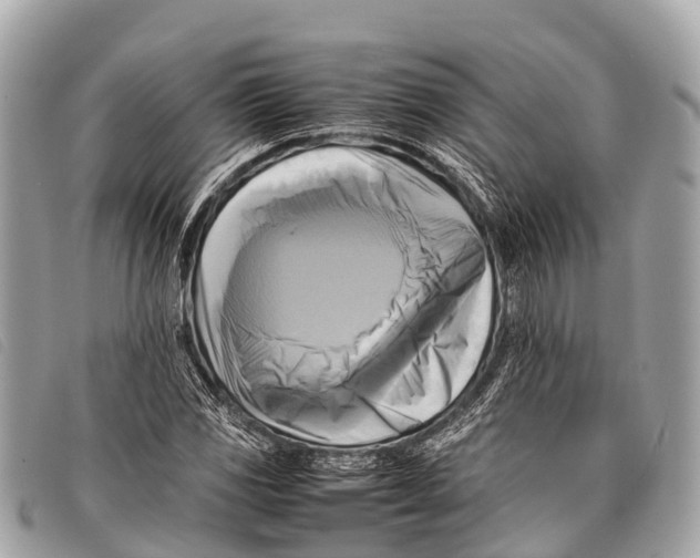 X0000097861117200804111146