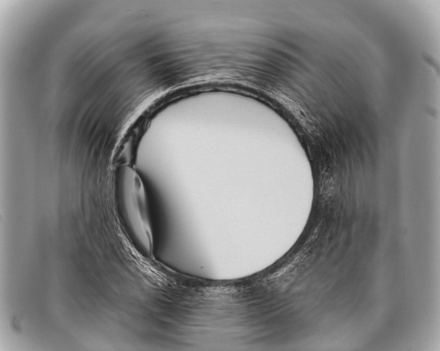 X0000097861118200804111146