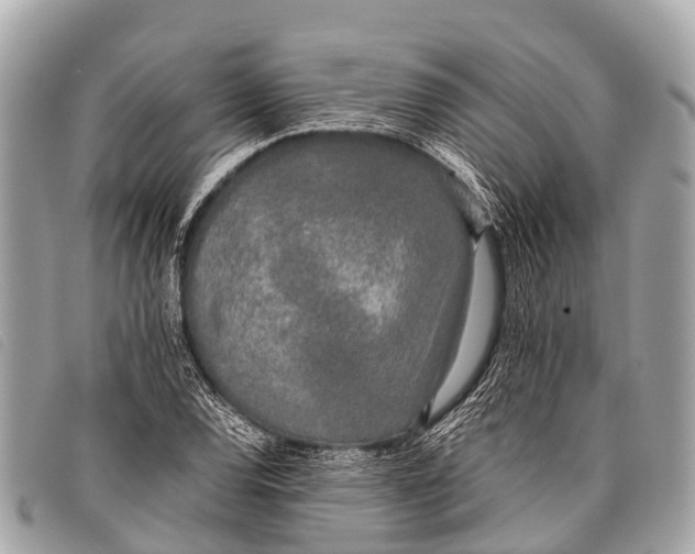 X0000097861120200804111146