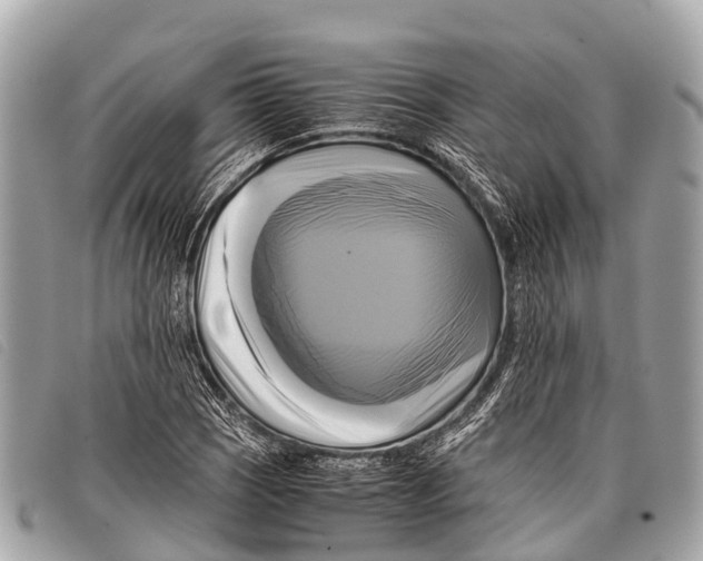 X0000097861121200804111146