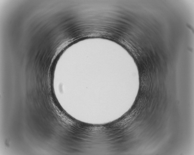 X0000097861122200804111146