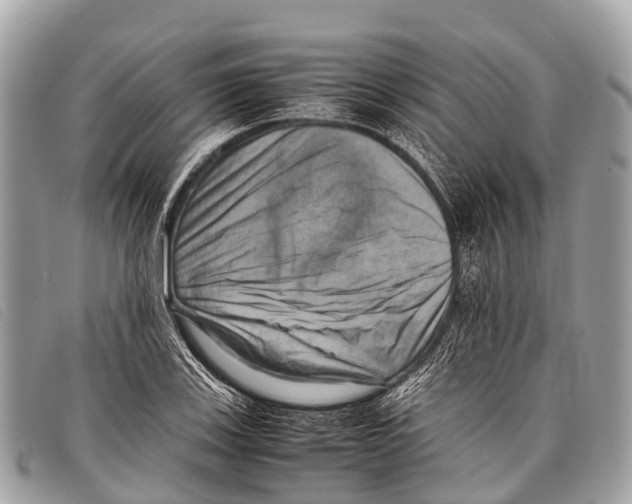 X0000097861123200804111146