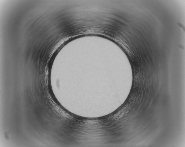 X0000097861126200804111146