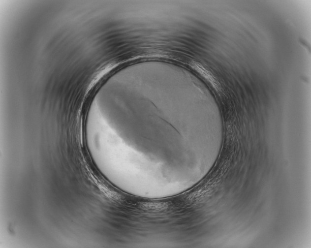 X0000097861127200804111146