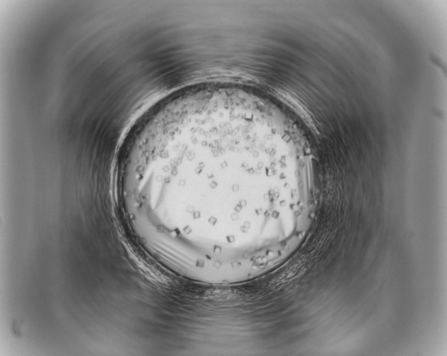 X0000097861128200804111146