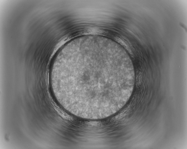 X0000097861130200804111146