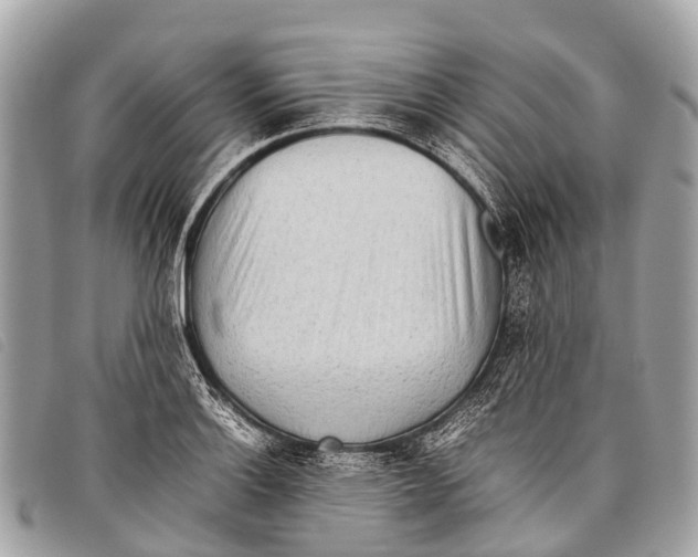 X0000097861132200804111146