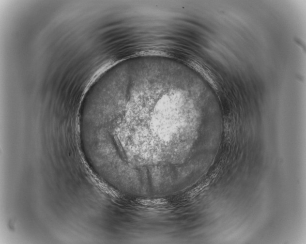 X0000097861133200804111146