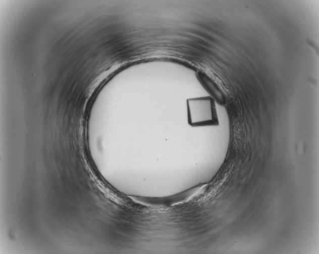 X0000097861134200804111146