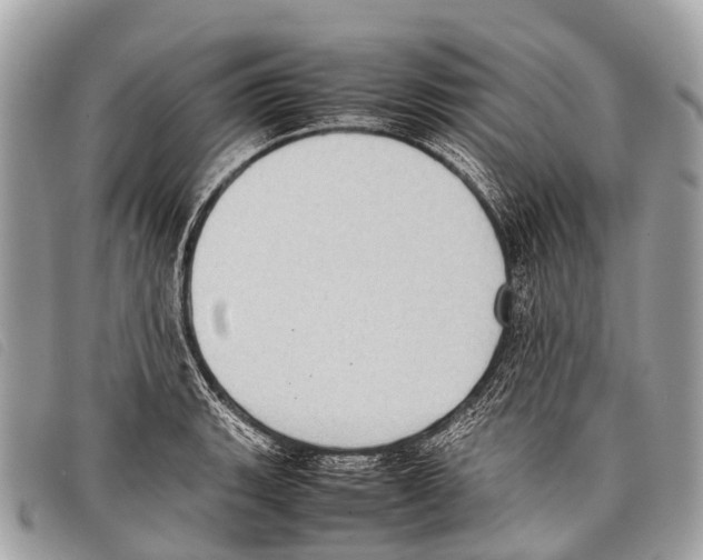 X0000097861135200804111146