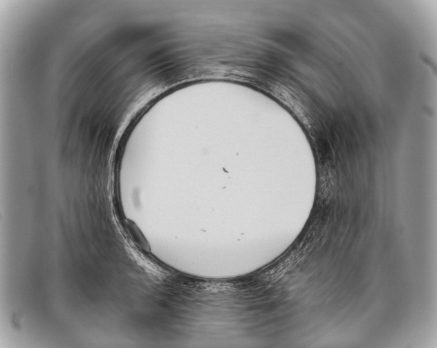 X0000097861136200804111146