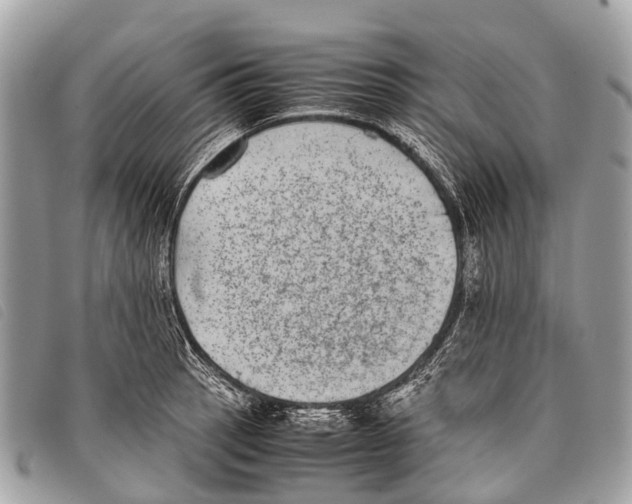 X0000097861137200804111146