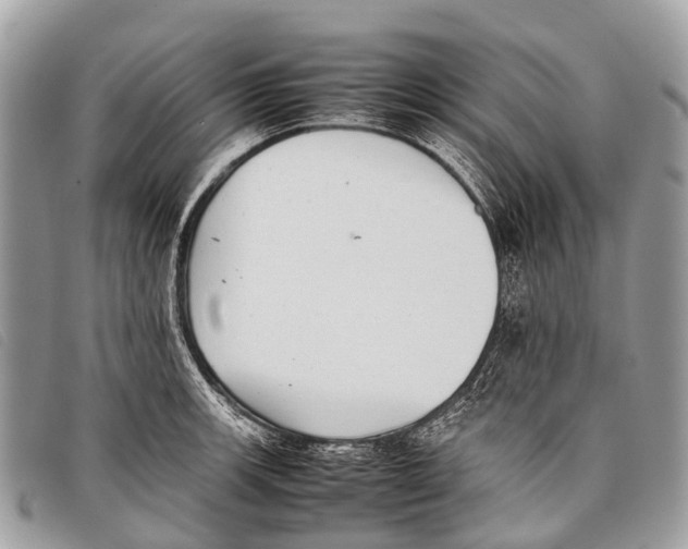 X0000097861139200804111146