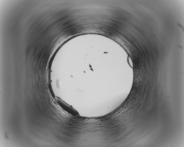 X0000097861140200804111146