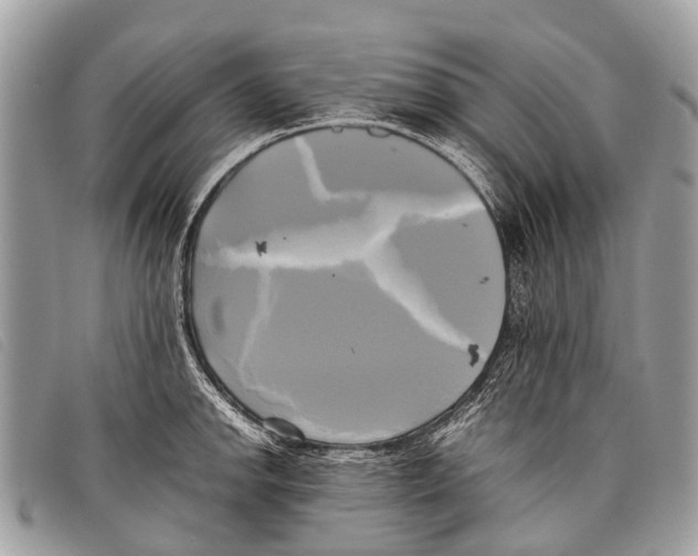 X0000097861142200804111146