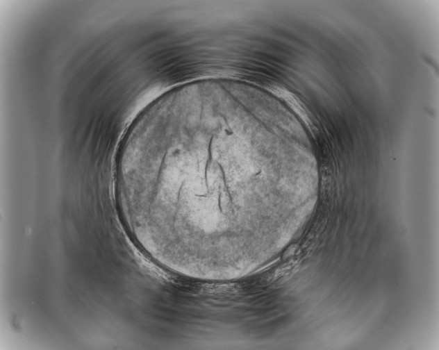 X0000097861143200804111147