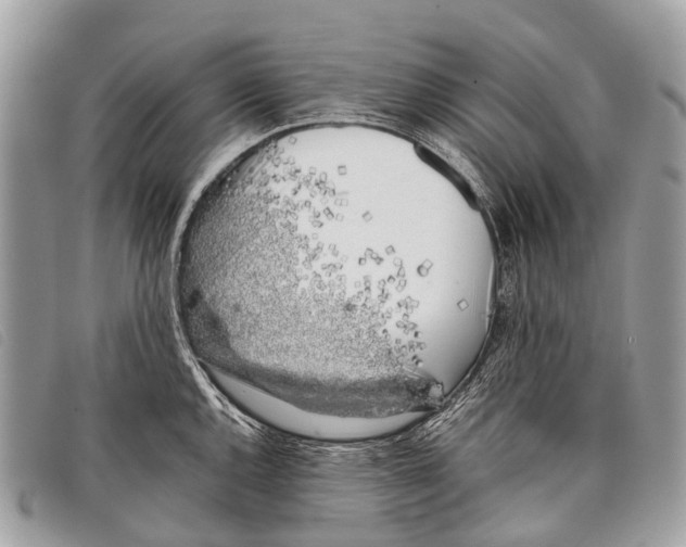 X0000097861144200804111147