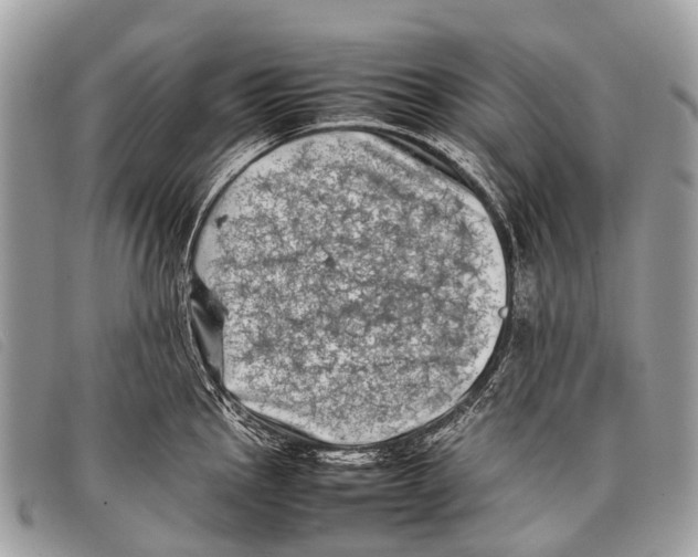 X0000097861145200804111147