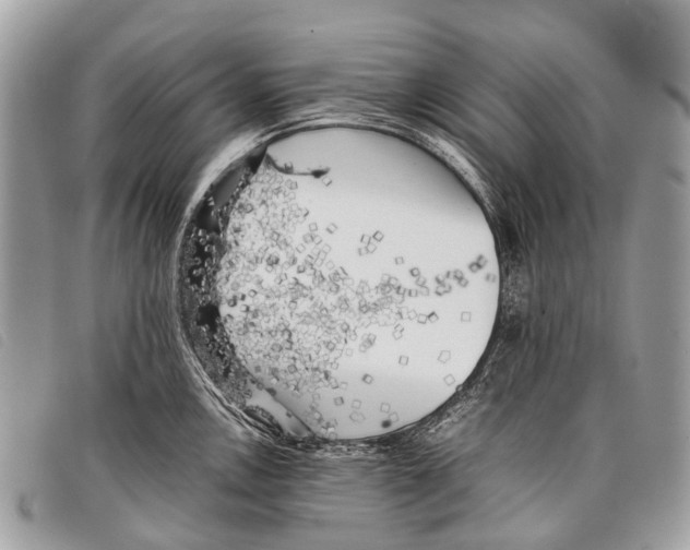 X0000097861146200804111147