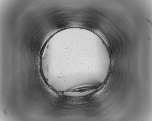 X0000097861149200804111147