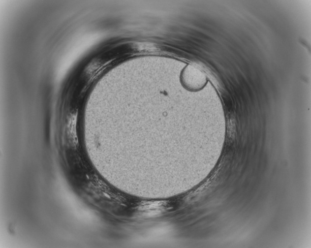 X0000097861150200804111147