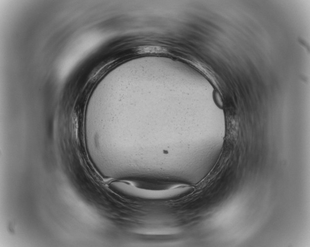 X0000097861151200804111147