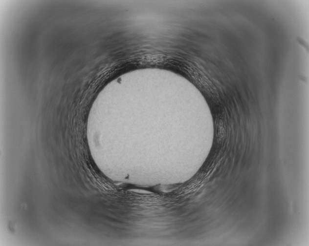 X0000097861153200804111146