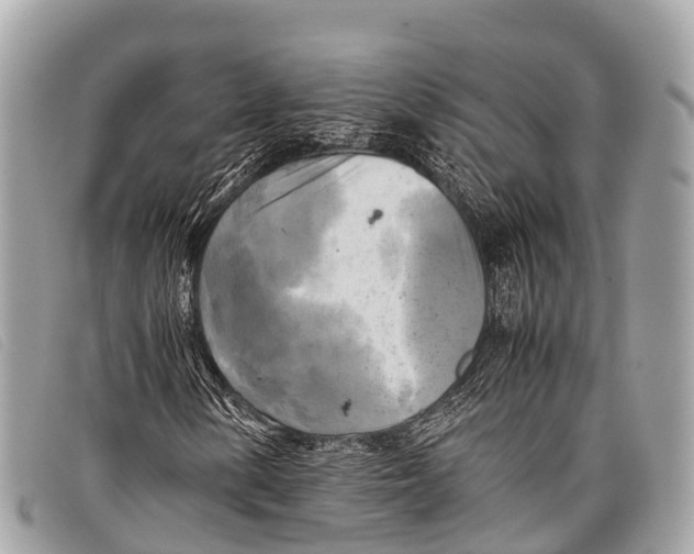 X0000097861154200804111146