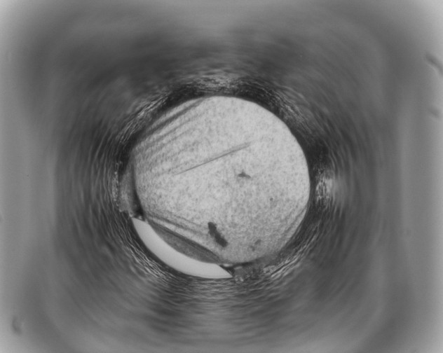 X0000097861156200804111146