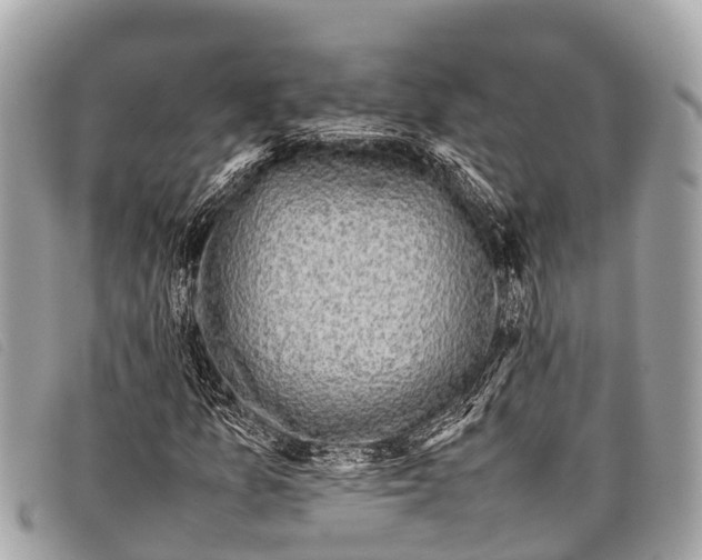 X0000097861157200804111146