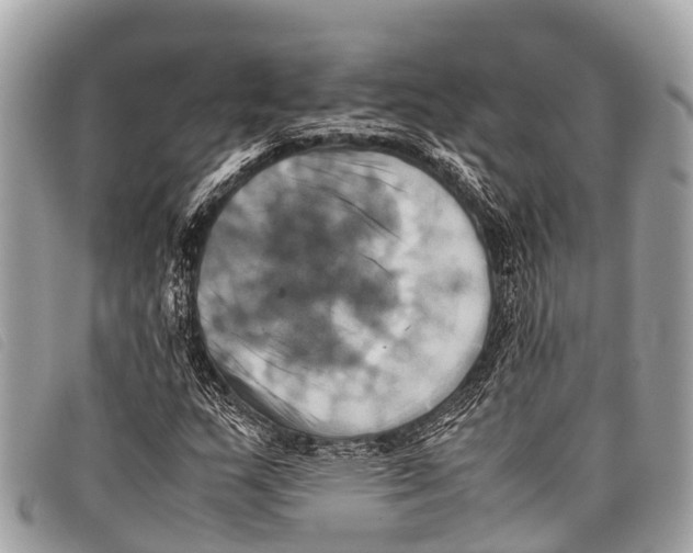 X0000097861159200804111146