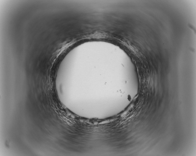 X0000097861160200804111146