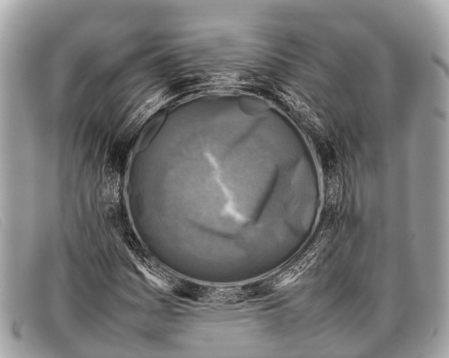 X0000097861161200804111146