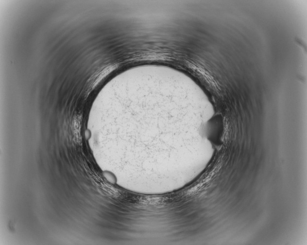 X0000097861162200804111146