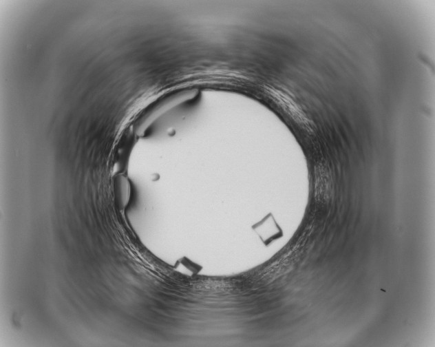 X0000097861164200804111145