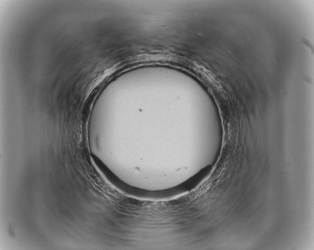 X0000097861165200804111145