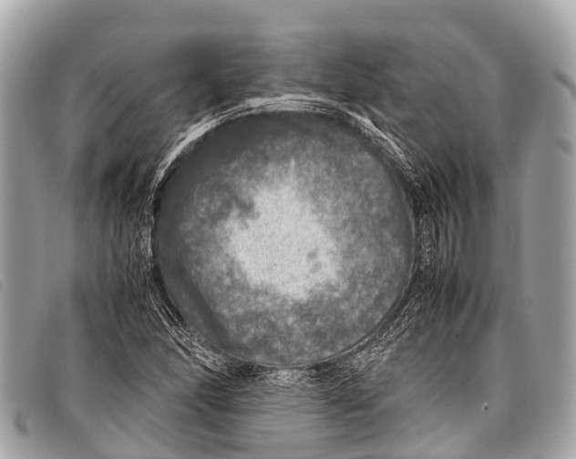 X0000097861166200804111145