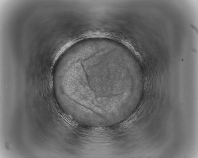 X0000097861167200804111145