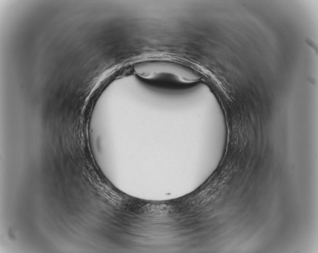 X0000097861168200804111145