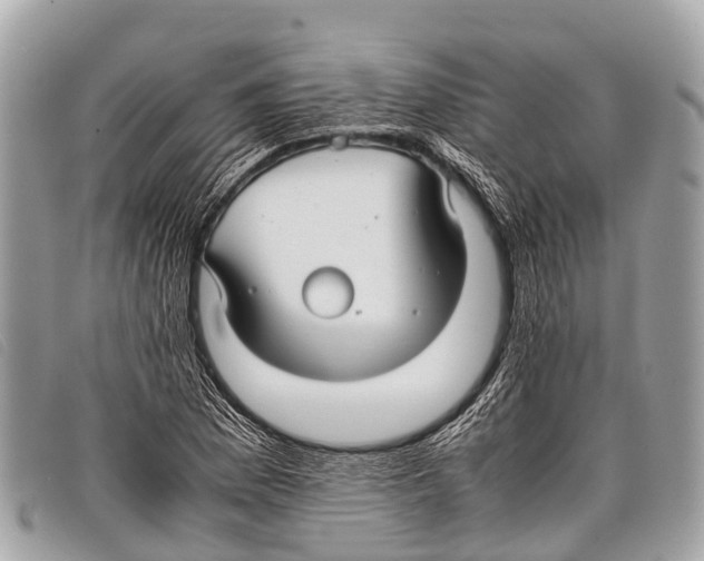 X0000097861169200804111145