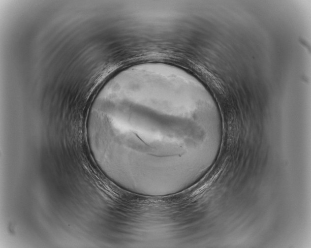 X0000097861170200804111145