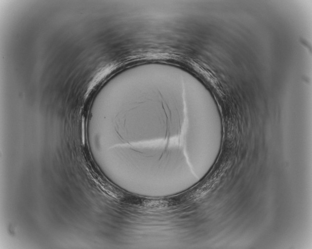 X0000097861171200804111145