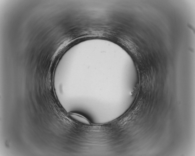 X0000097861172200804111145