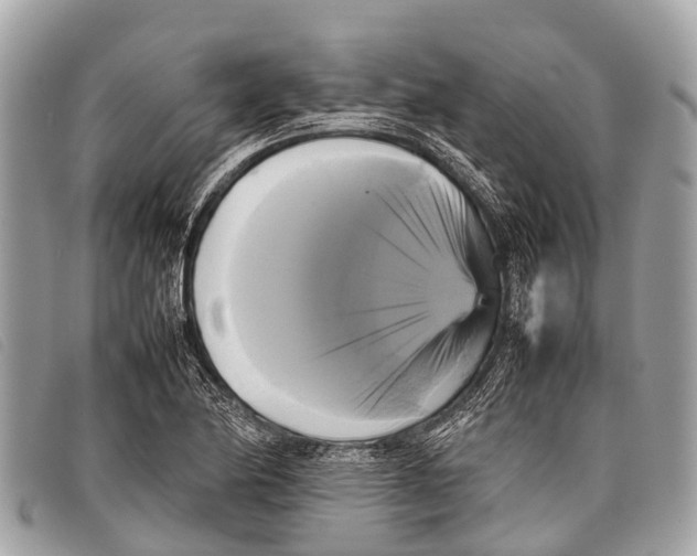 X0000097861174200804111145