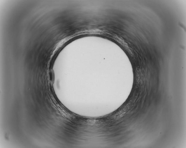 X0000097861176200804111145