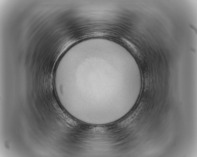 X0000097861178200804111145