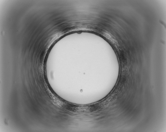 X0000097861181200804111145