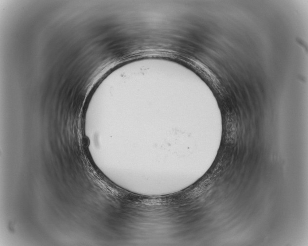 X0000097861182200804111145