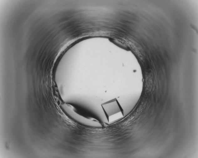 X0000097861184200804111145