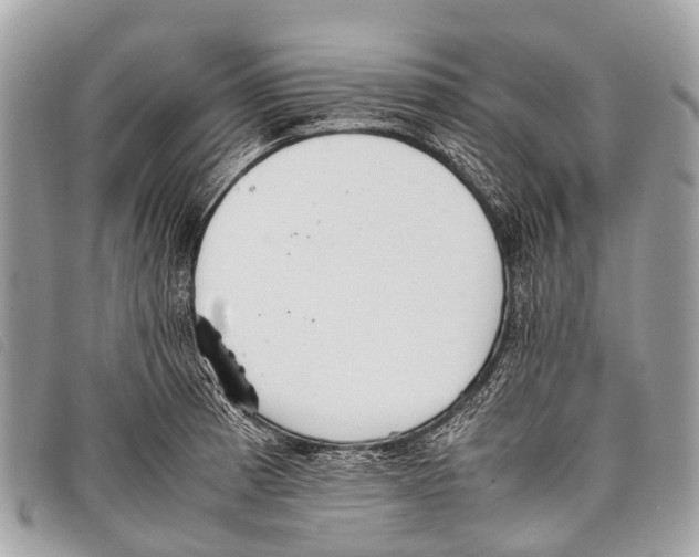 X0000097861185200804111145